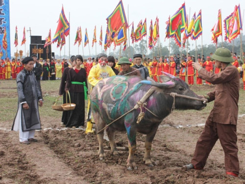 Fiesta Tich Dien estimula desarrollo agrícola
